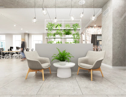 Flow Lounge Chair - Wood Base - Light Grey