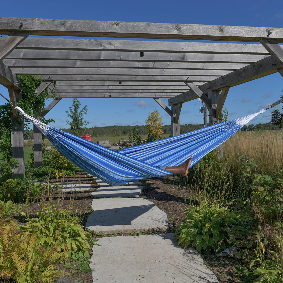 Vivere Latin Double Cotton Hammock - Azul