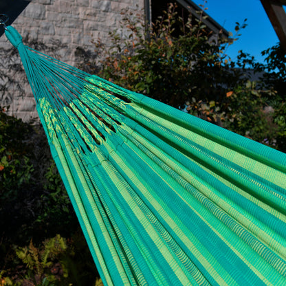 Vivere Latin Double Cotton Hammock - Viridis