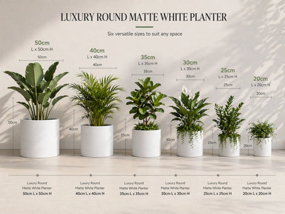 Luxury Round Matt White Planter Set of 6 | Premium Pot Range