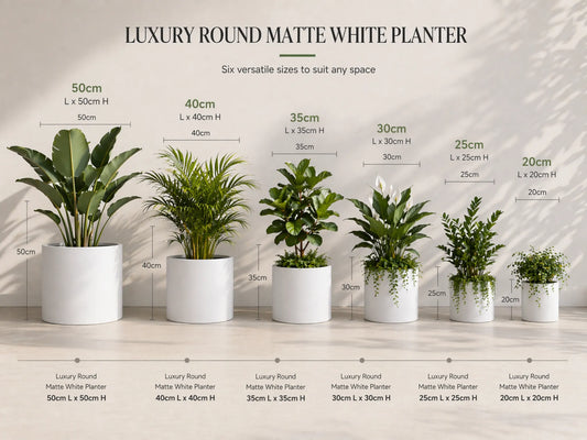 Luxury Round Matt White Planter Set of 6 | Premium Pot Range