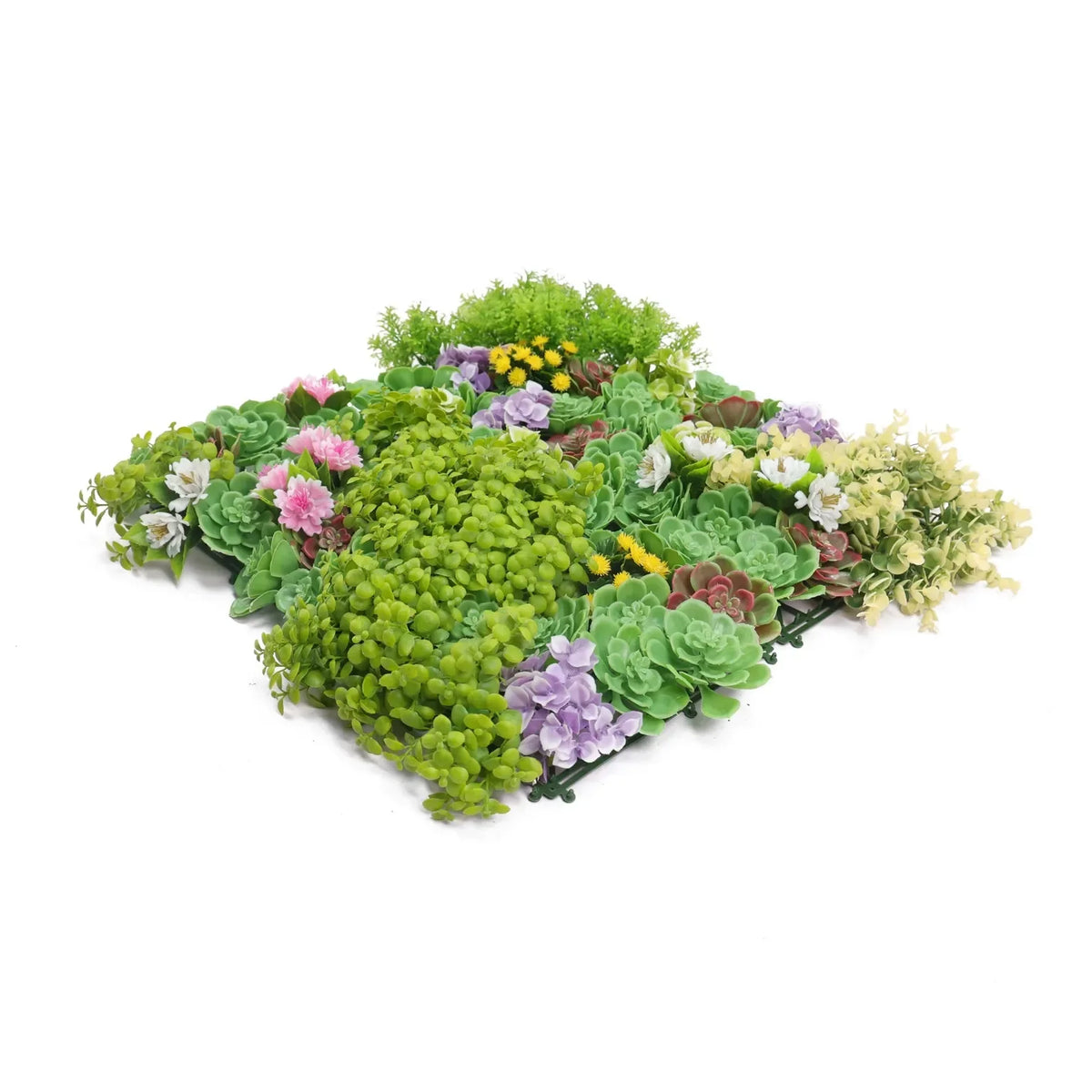 Artificial Dense Succulent Green Wall / Vertical Garden Panel 50cm x 50cm UV Resistant - Image 5