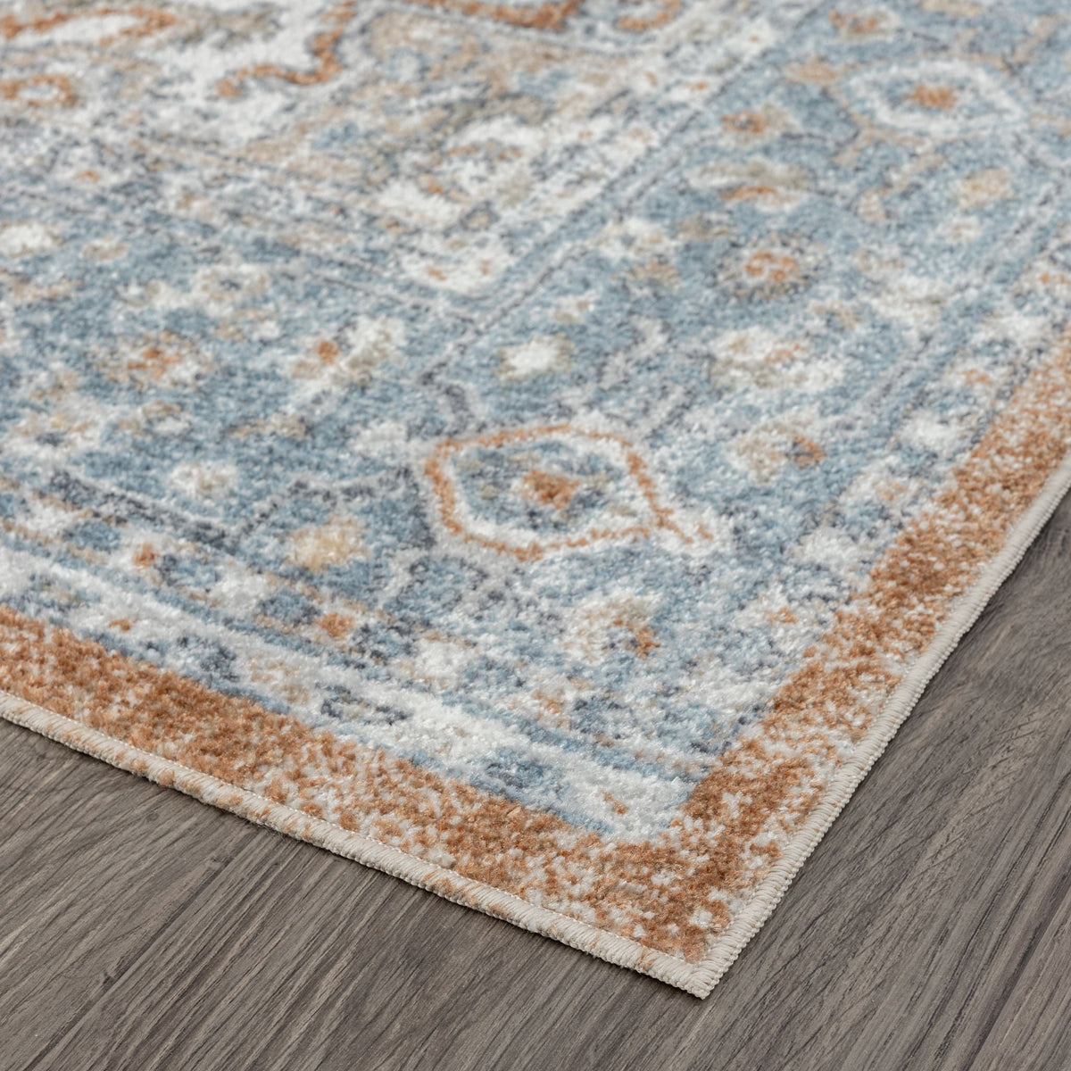 Easy 366 Indigo Transitional Rug