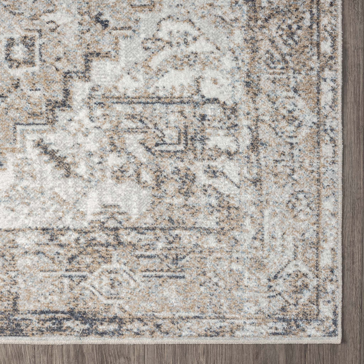 Easy 361 Earth Transitional Rug