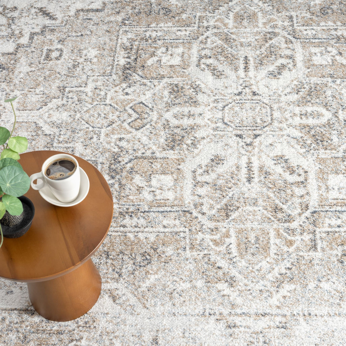 Easy 361 Earth Transitional Rug