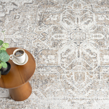 Easy 361 Earth Transitional Rug