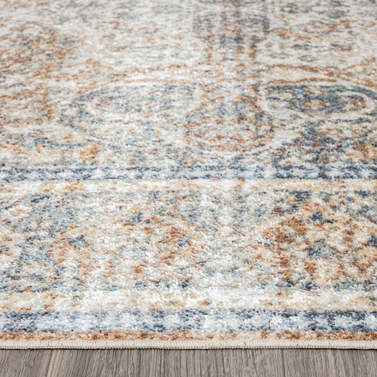 Easy 364 Coral Transitional Rug