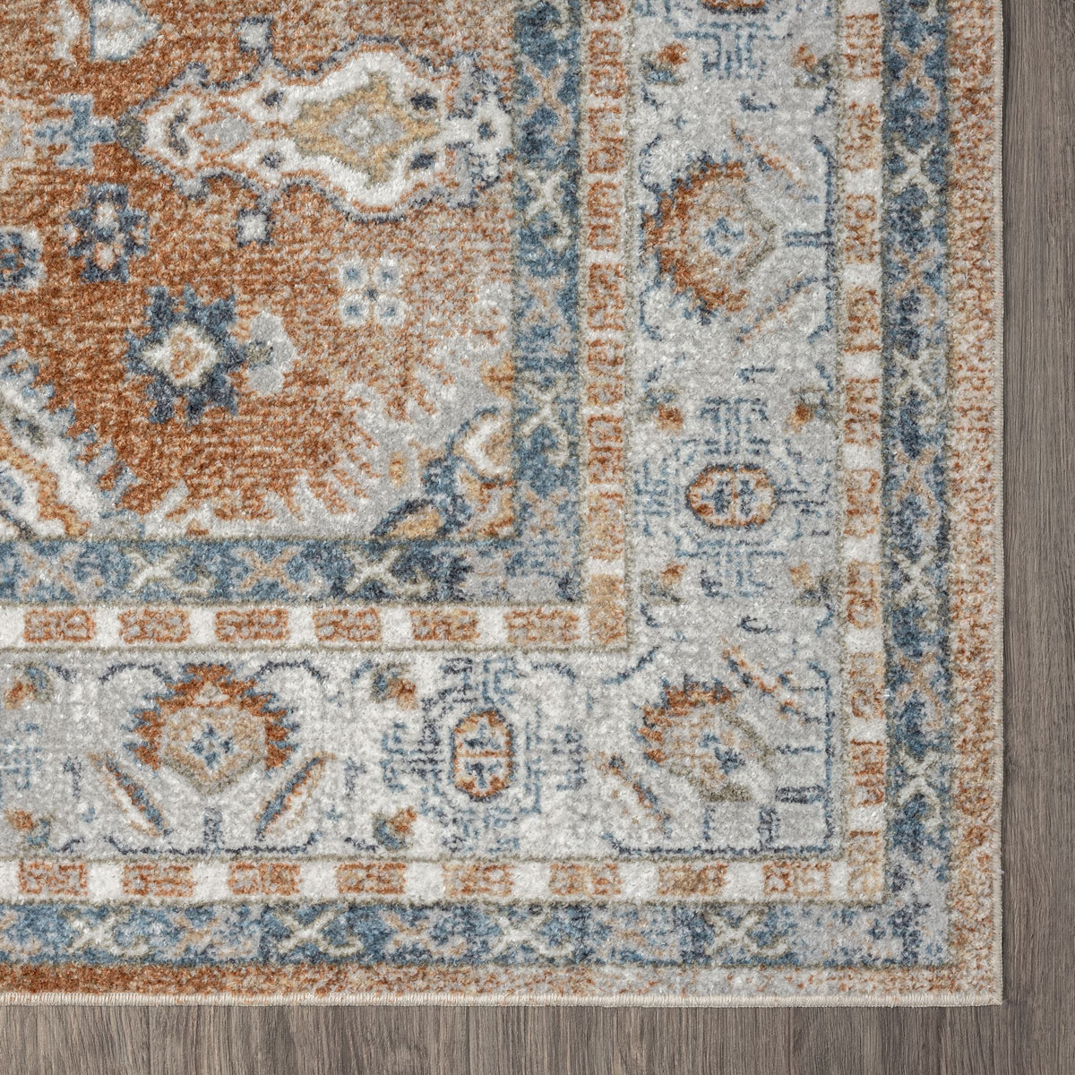 Easy 367 Terra Transitional Rug