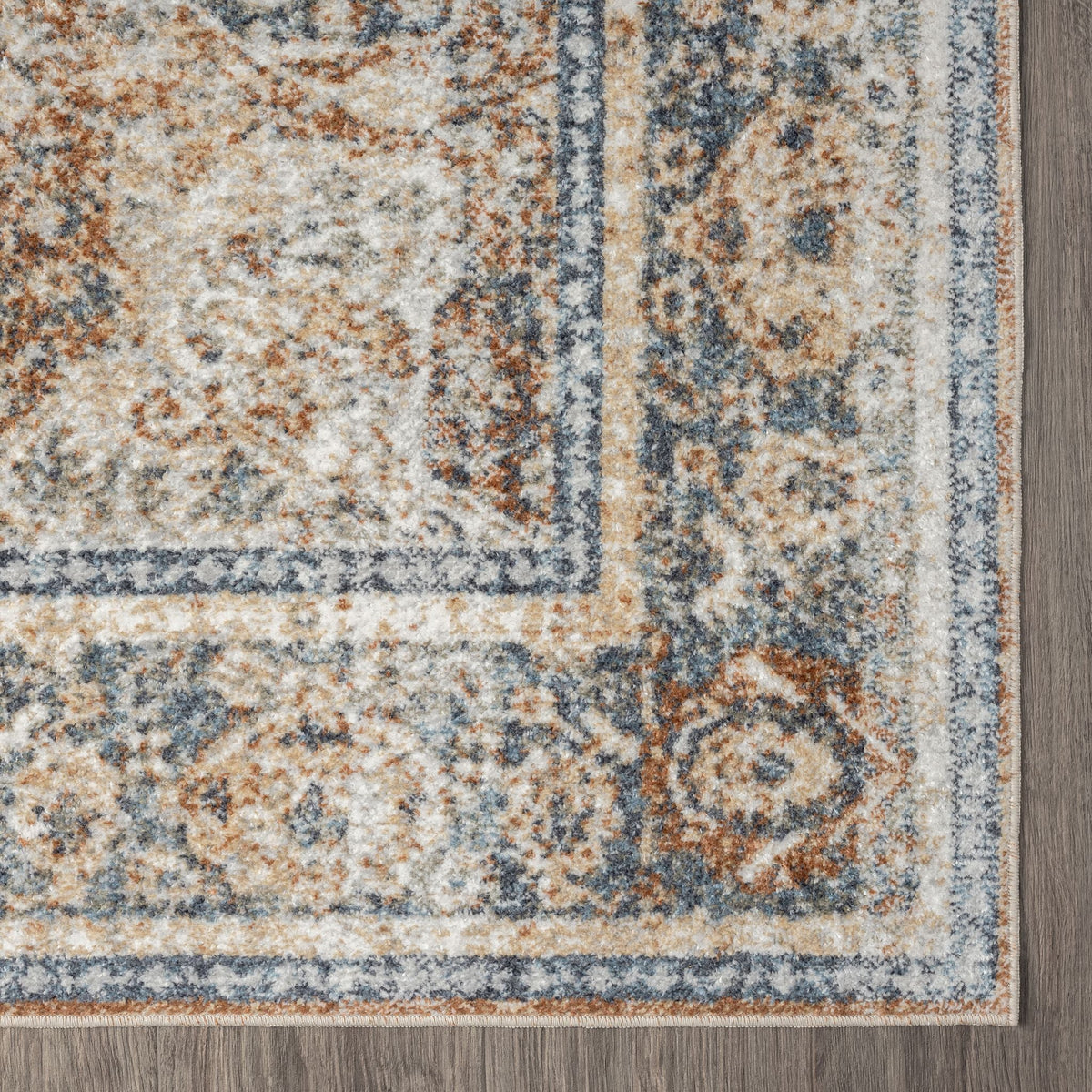 Easy 364 Coral Transitional Rug