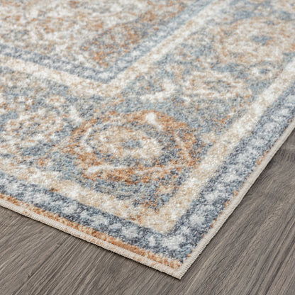 Easy 364 Coral Transitional Rug