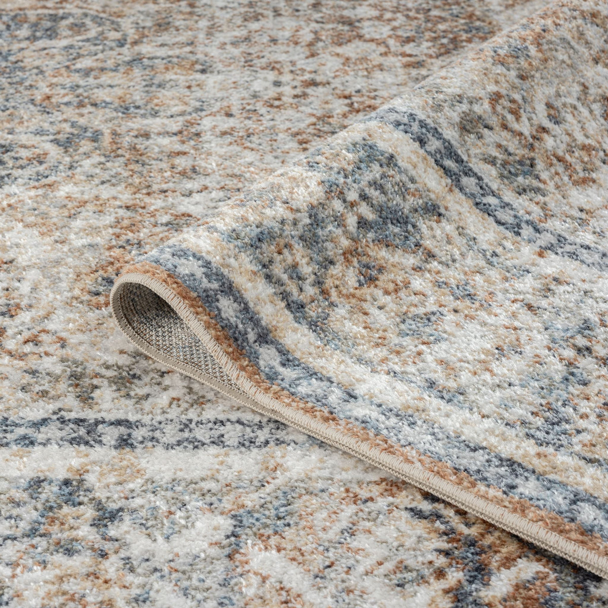 Easy 364 Coral Transitional Rug