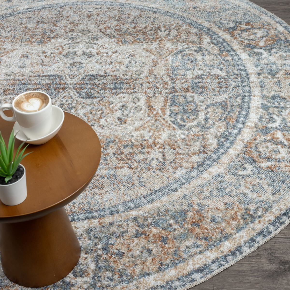 Easy 364 Coral Transitional Round Rug