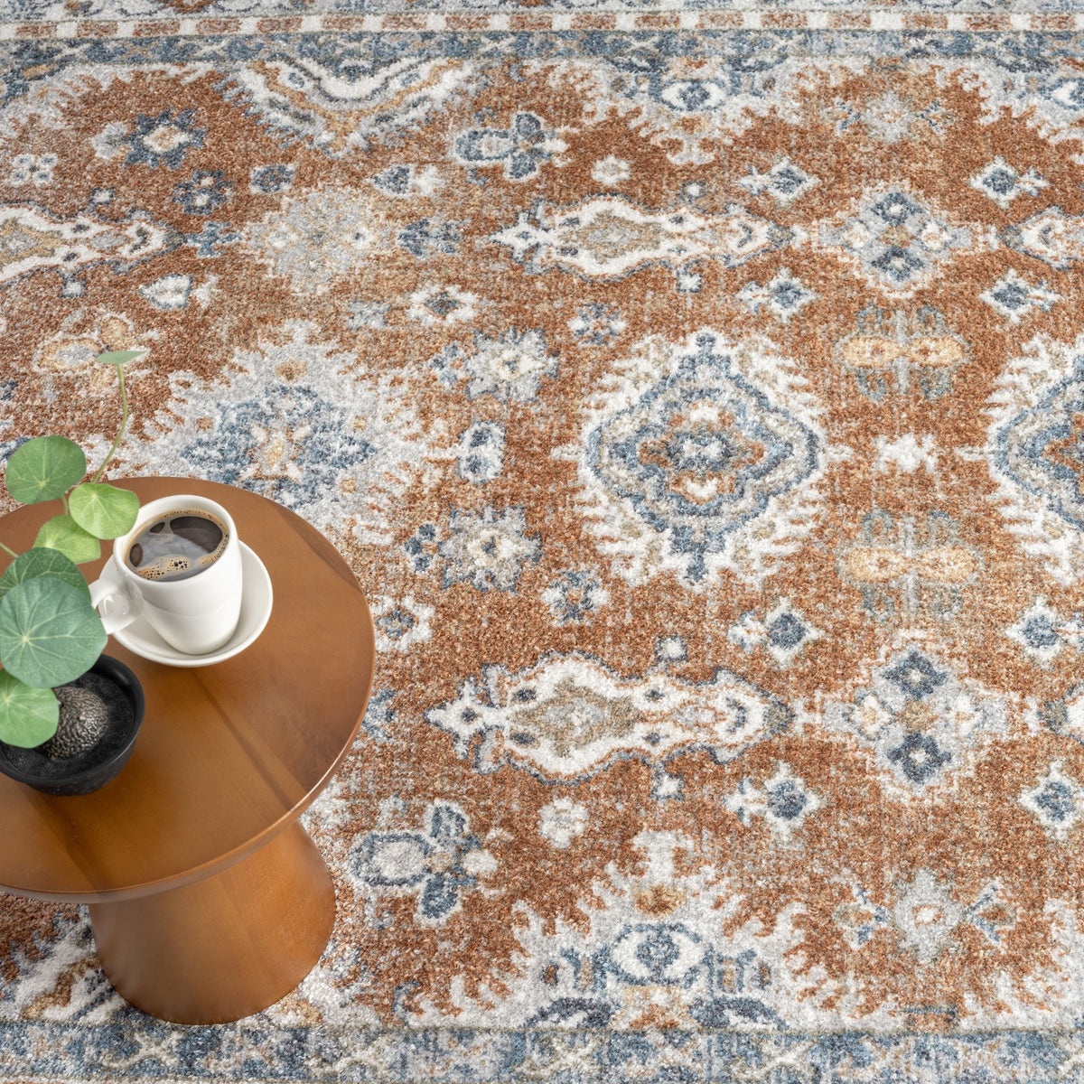 Easy 367 Terra Transitional Rug