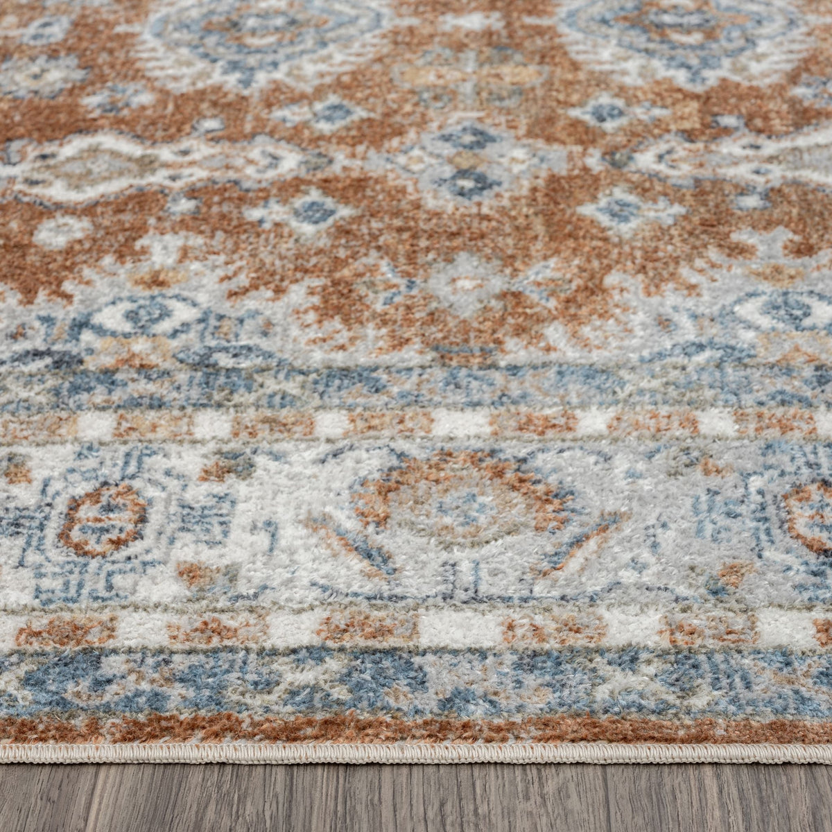 Easy 367 Terra Transitional Rug