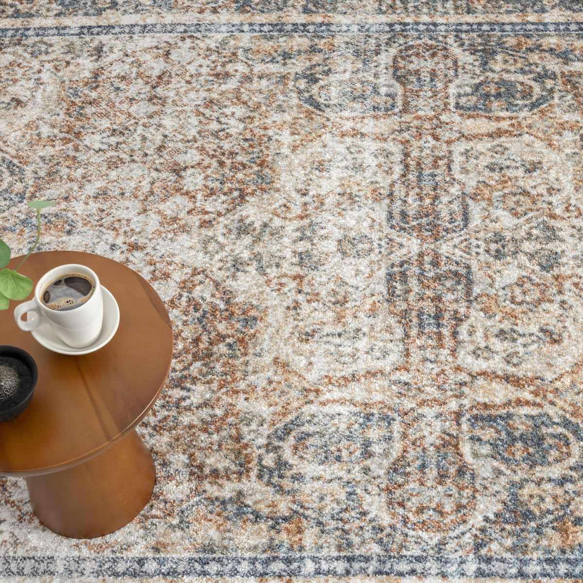 Easy 364 Coral Transitional Rug