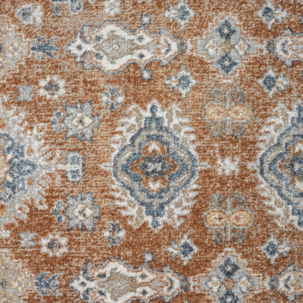 Easy 367 Terra Transitional Rug