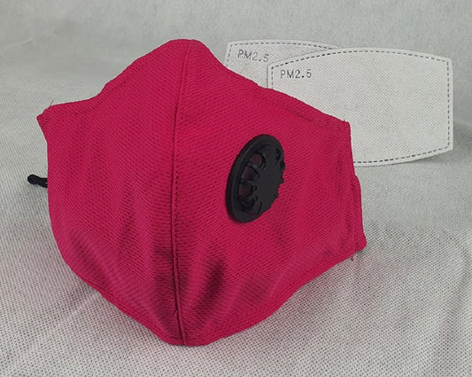 Adult Face Mask w/ 2 Filters Pink - Made in Vietnam