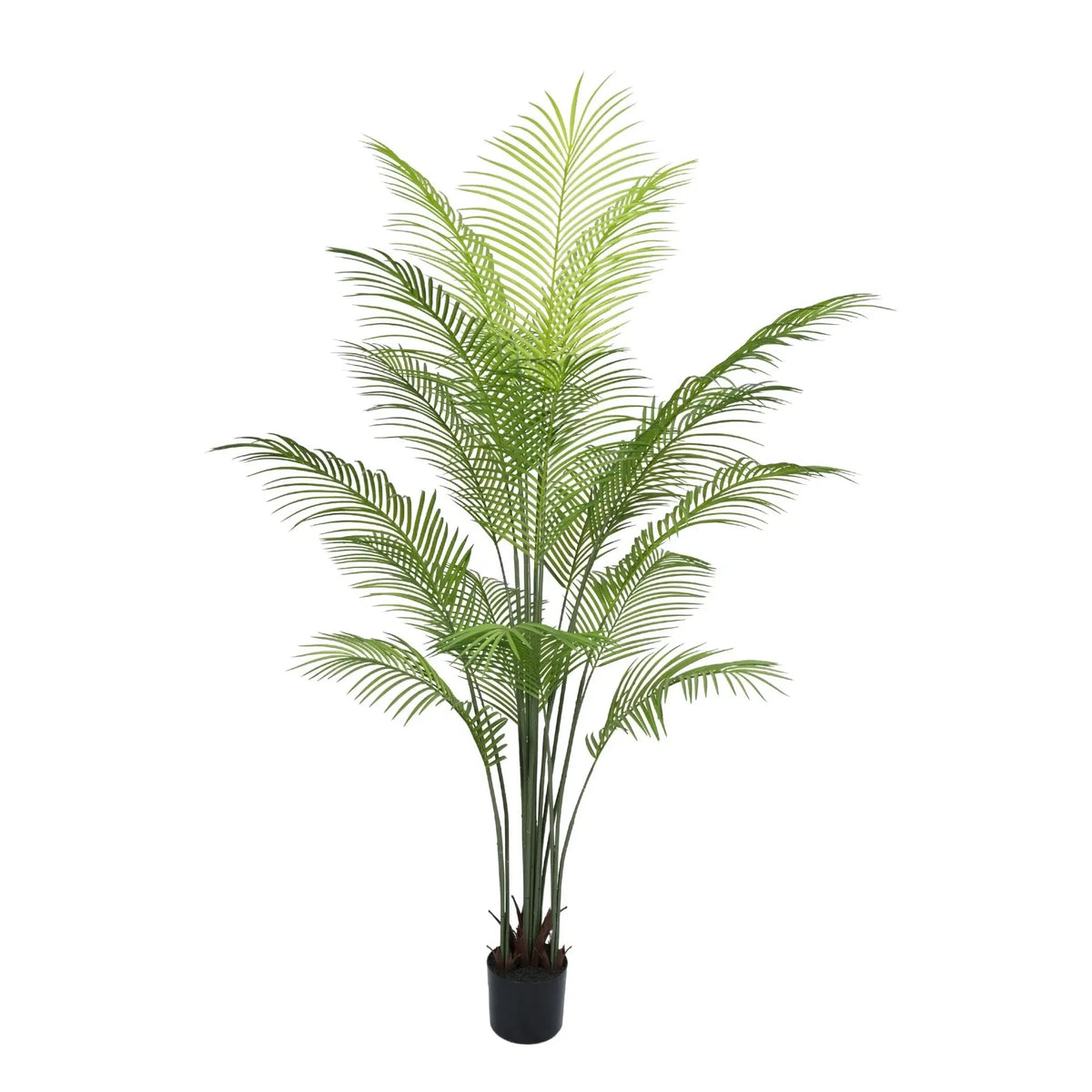 Premium Dense Areca Artificial Palm Tree 180cm