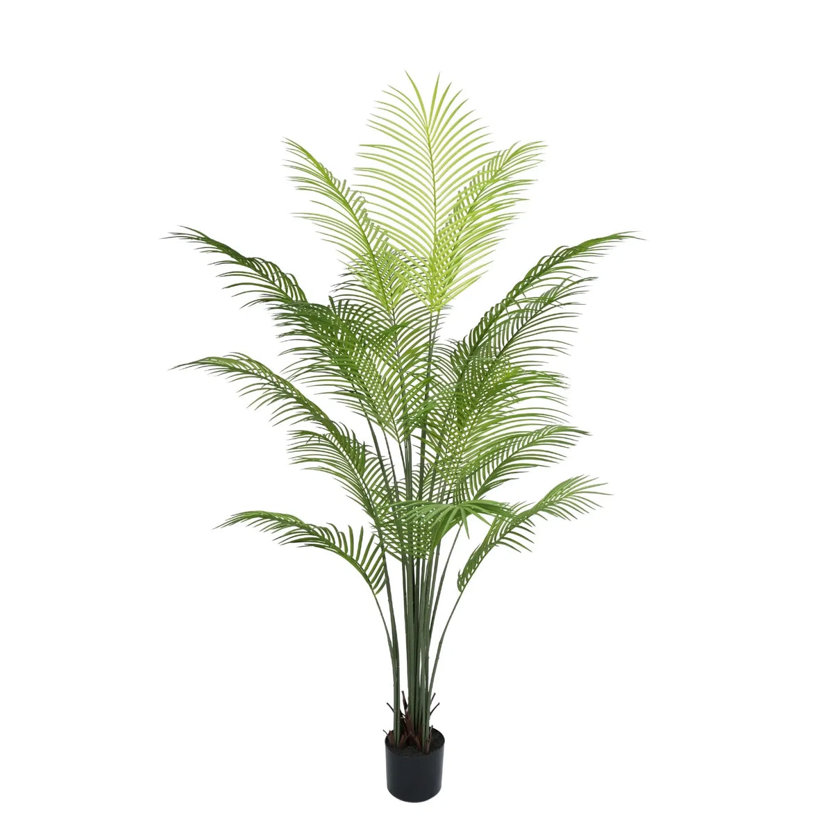 Premium Dense Areca Artificial Palm Tree 180cm