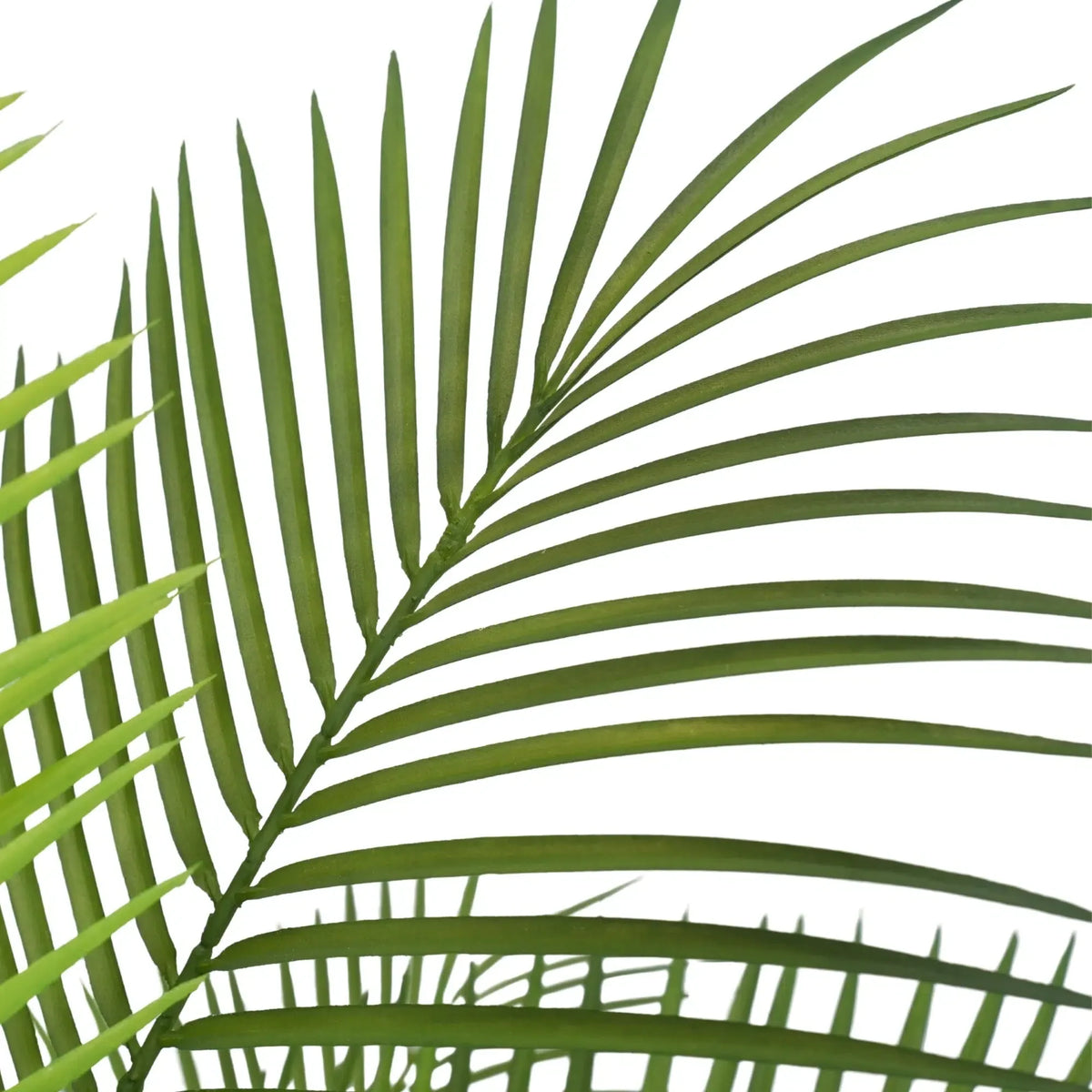 Premium Dense Areca Artificial Palm Tree 180cm