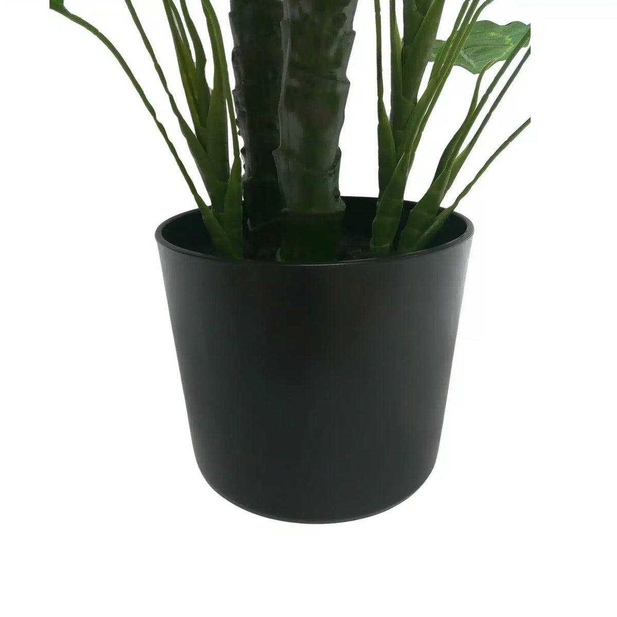 Premium Artificial Cordyline Fructicosa Green / Ti Plant 90cm - Image 3