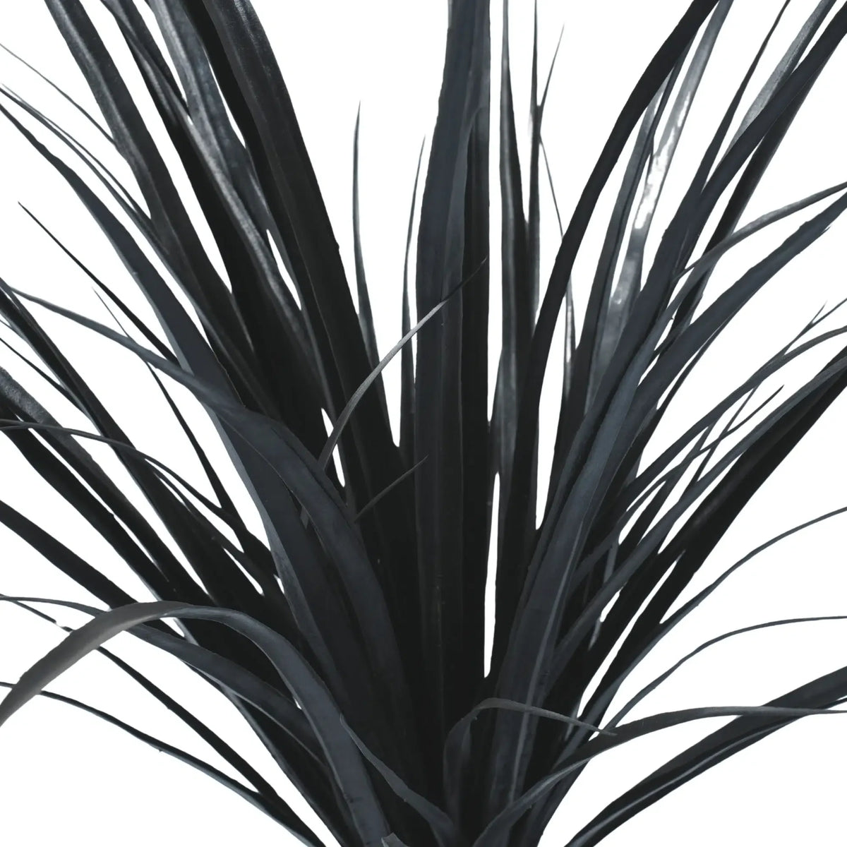 Premium Black Potted Artificial Long Grass (Yucca Grass) 75cm UV Resistant