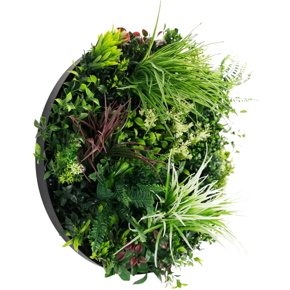 Slimline Artificial Green Wall Disc Art 60cm Colour Fresh UV Resistant (Black)