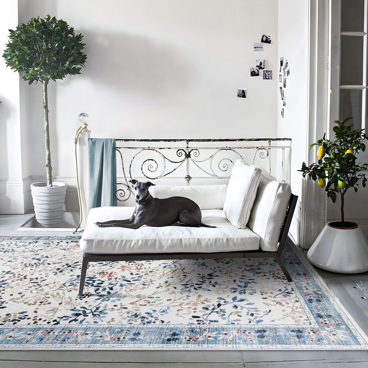 Sherry Vine Washable Rug - Multi & Ivory
