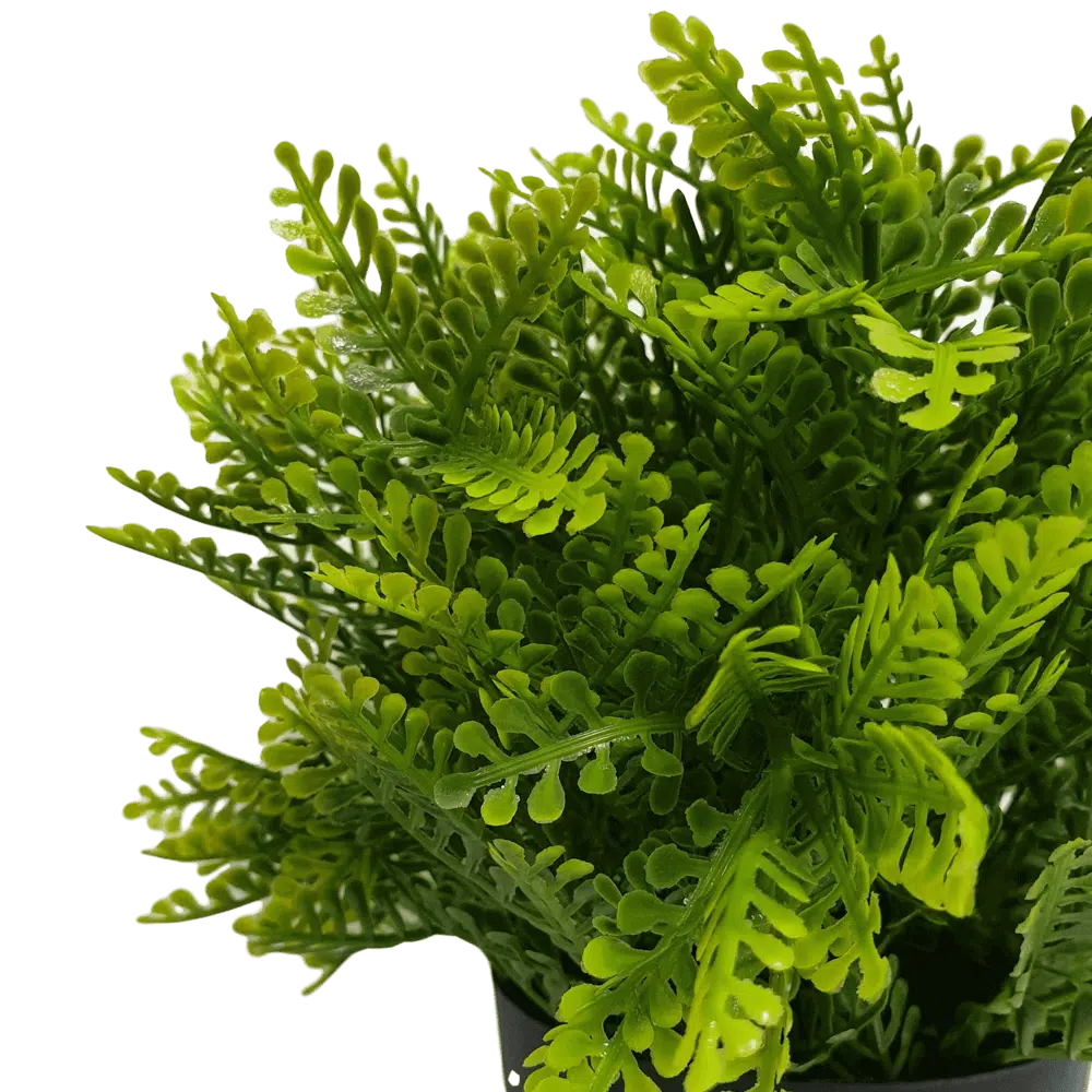 Small Potted Artificial Mimosa Fern UV Resistant 20cm - Image 3