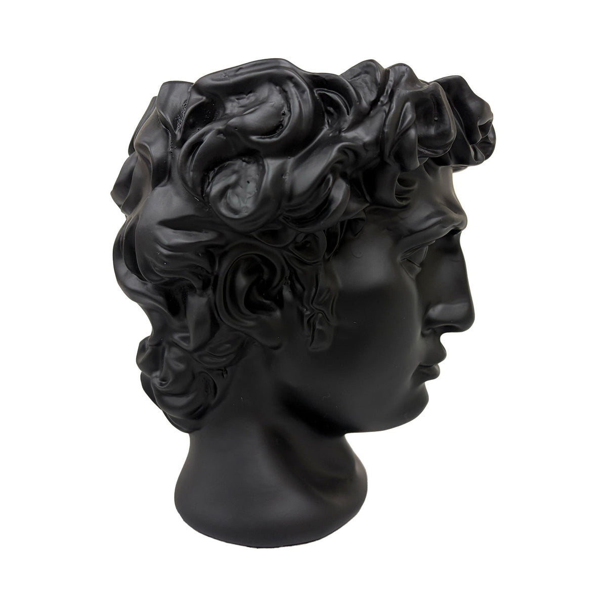 Urban Attitude David Head Planter - Matte Black
