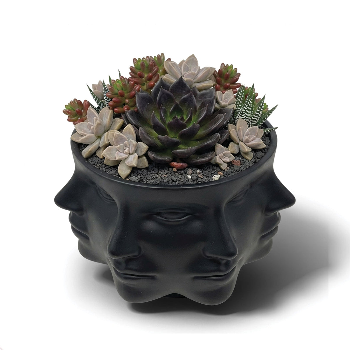 Urban Attitude Face Planter - Matte Black