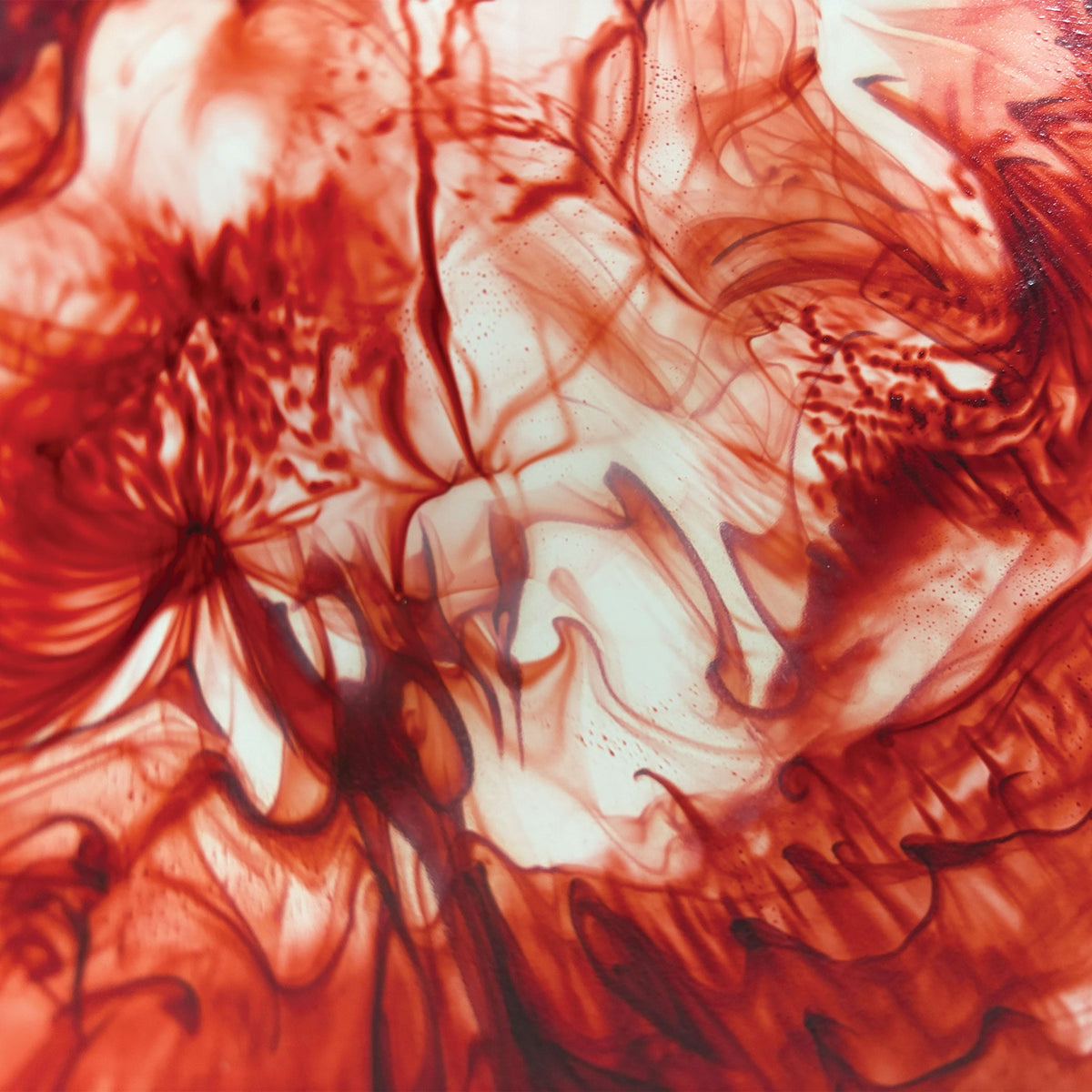 Urban Attitude RAQS Salad Bowl Height: 11.5cm, Width: 29.5cm, Length: 31cm - Berry Red