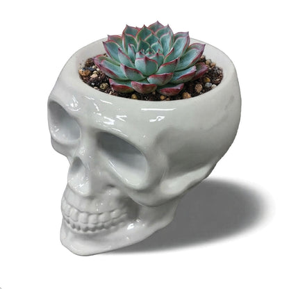 Urban Attitude Skull Statue - Matte White