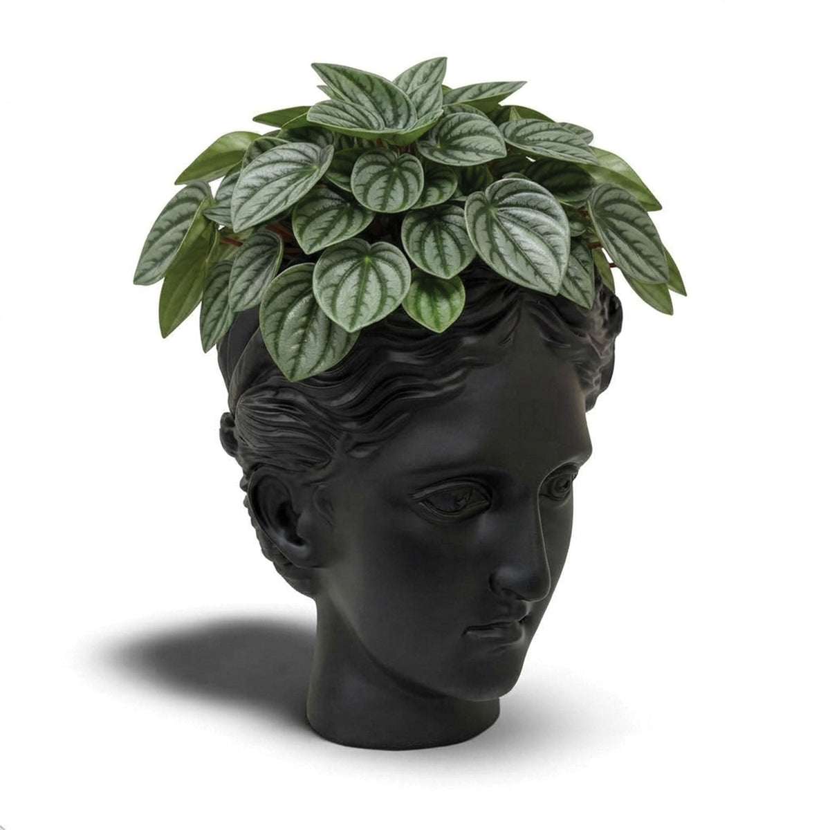 Urban Attitude Venus Head Planter - Matte Black