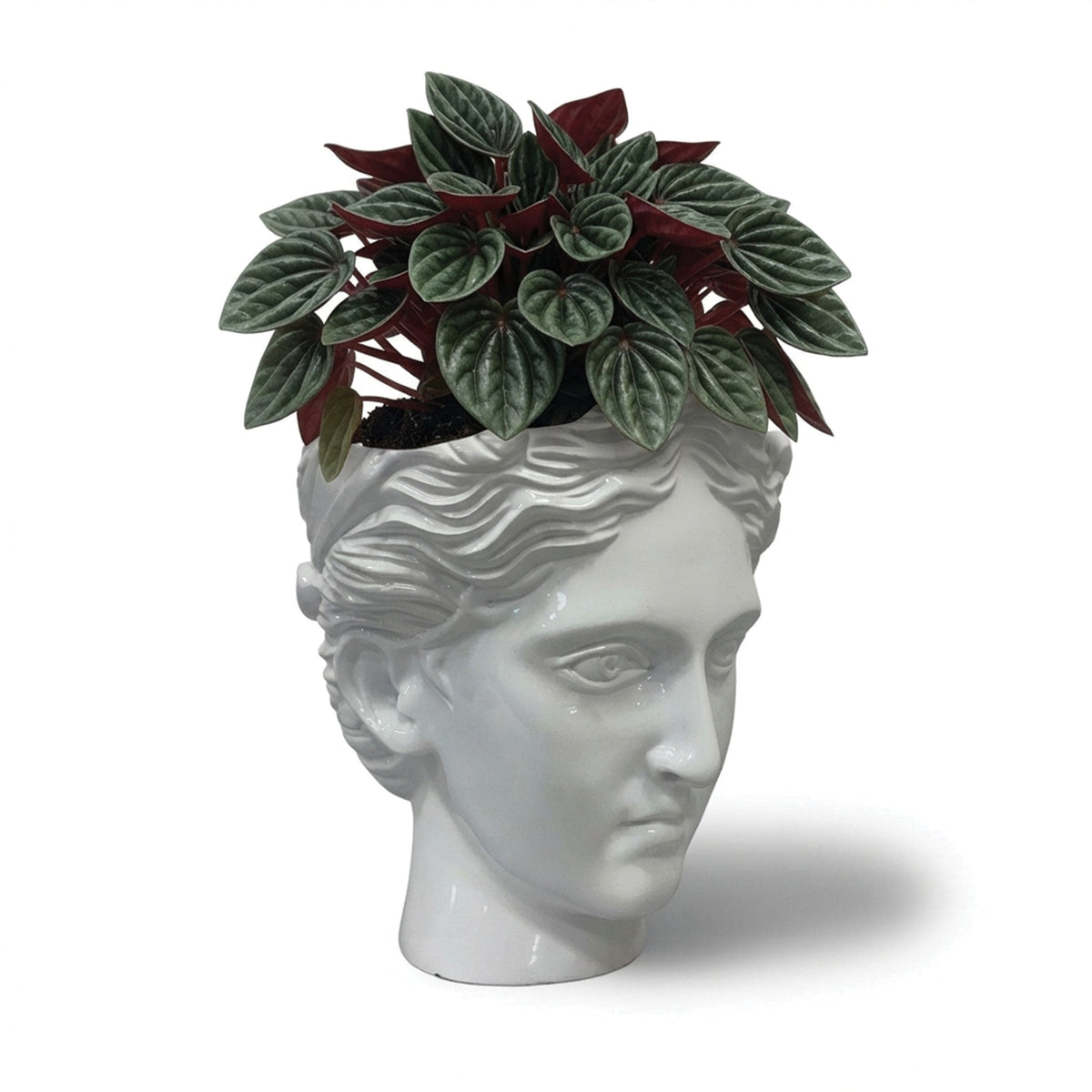 Urban Attitude Venus Head Planter - Matte White