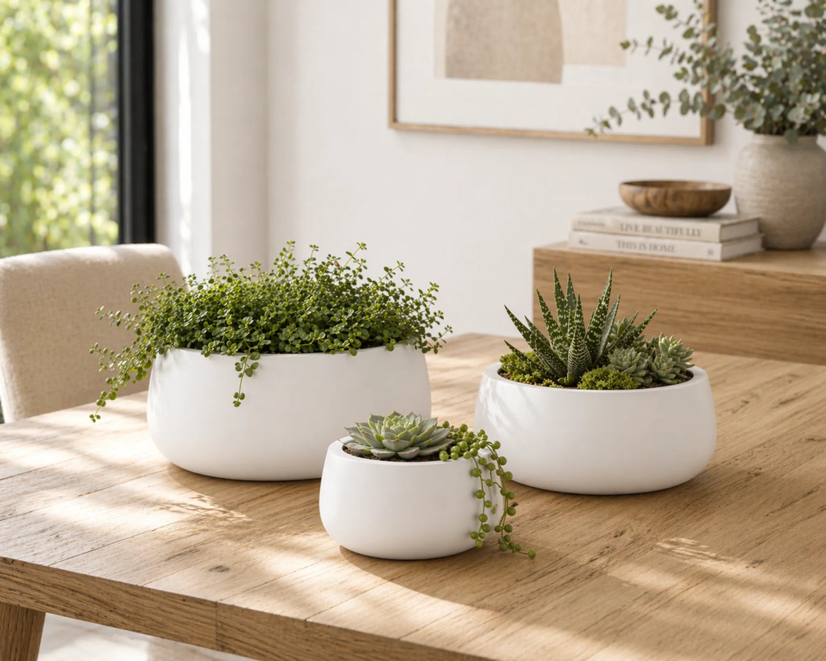 Luxury Soft Tapered Bowl Planter Set of 4 | Premium Pot Range | Matt White