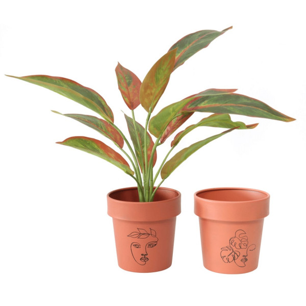 Set 2 Line Art Pot planters Assort 13cm