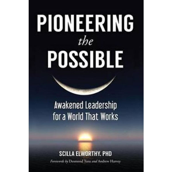 Pioneering the Possible: Awakened Leadership for a