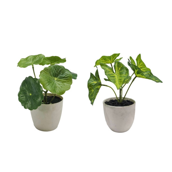 Set 2 Artificial Taro & Lotus Plant In Plastic Pot 7x15cm