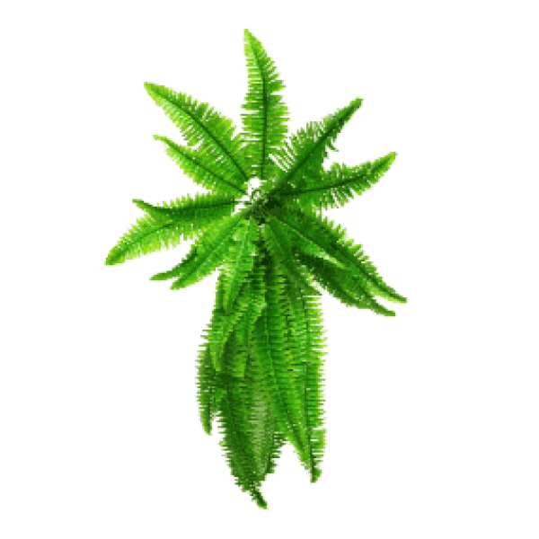 Artificial Boston Hanging Fern 102cm