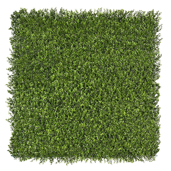 Premium Natural Buxus Hedge Panels UV Resistant 1m X 1m