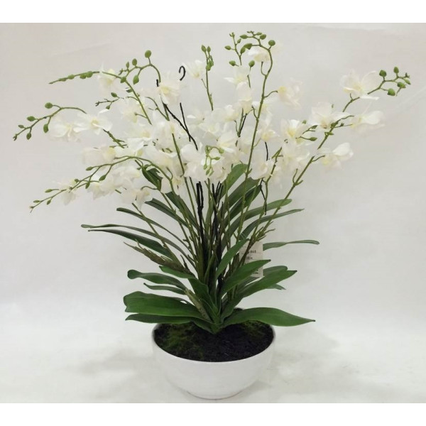 Artificial Orchid in White Pot 50cm