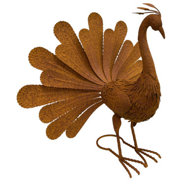 Rust Proud Standing Peacock Statue 63x51cm