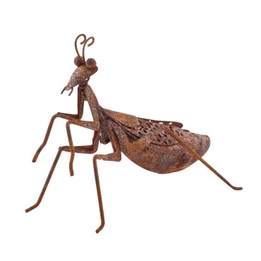 Lucky Praying Mantis 13cm