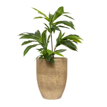 Subtle Textured Contemporary Planter 49cm