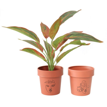 Set 2 Line Art Pot planters Assort 13cm