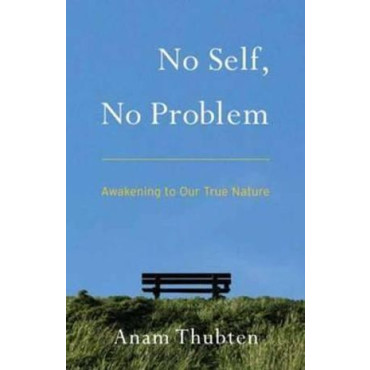 No Self No Problem