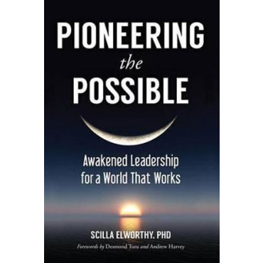 Pioneering the Possible: Awakened Leadership for a