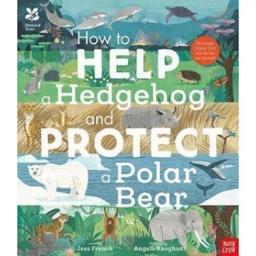 National Trust: How to Help a Hedgehog and Protect