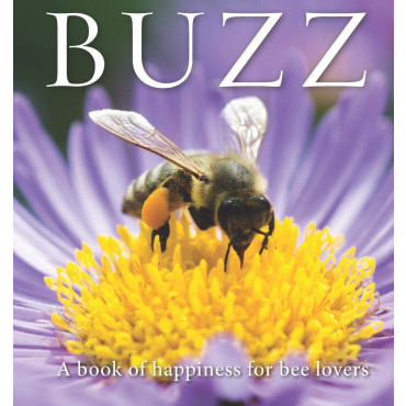 Buzz